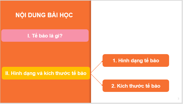 Giáo án điện tử KNTN 6 Kết nối tri thức Bài 18: Tế bào – Đơn vị cơ bản của sự sống | PPT Khoa học tự nhiên 6