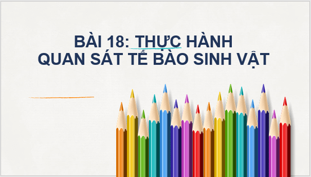 Giáo án điện tử KNTN 6 Chân trời sáng tạo Bài 18: Thực hành quan sát tế bào sinh vật | PPT Khoa học tự nhiên 6