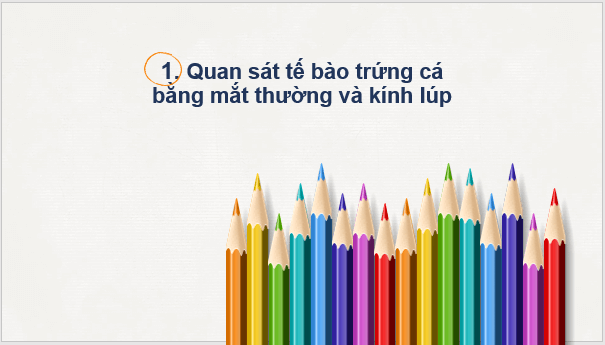 Giáo án điện tử KNTN 6 Chân trời sáng tạo Bài 18: Thực hành quan sát tế bào sinh vật | PPT Khoa học tự nhiên 6