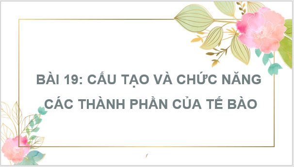 Giáo án điện tử KNTN 6 Kết nối tri thức Bài 19: Cấu tạo và chức năng cac thành phần của tế bào | PPT Khoa học tự nhiên 6