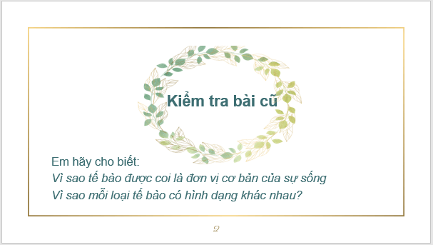 Giáo án điện tử KNTN 6 Kết nối tri thức Bài 19: Cấu tạo và chức năng cac thành phần của tế bào | PPT Khoa học tự nhiên 6