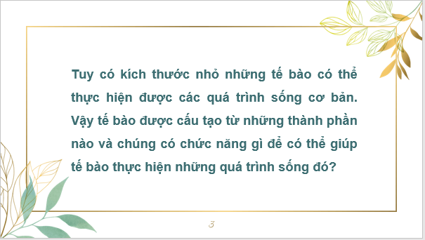 Giáo án điện tử KNTN 6 Kết nối tri thức Bài 19: Cấu tạo và chức năng cac thành phần của tế bào | PPT Khoa học tự nhiên 6