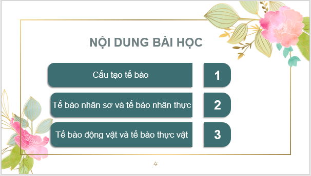 Giáo án điện tử KNTN 6 Kết nối tri thức Bài 19: Cấu tạo và chức năng cac thành phần của tế bào | PPT Khoa học tự nhiên 6