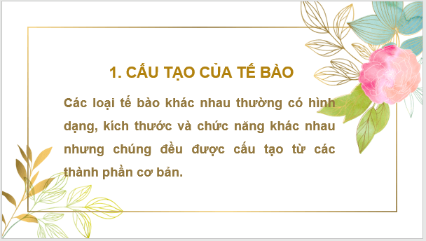 Giáo án điện tử KNTN 6 Kết nối tri thức Bài 19: Cấu tạo và chức năng cac thành phần của tế bào | PPT Khoa học tự nhiên 6