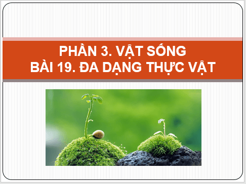 Giáo án điện tử KNTN 6 Cánh diều Bài 19: Đa dạng thực vật | PPT Khoa học tự nhiên 6