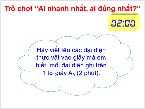 Giáo án điện tử KNTN 6 Cánh diều Bài 19: Đa dạng thực vật | PPT Khoa học tự nhiên 6