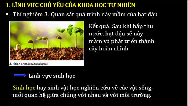 Giáo án điện tử KNTN 6 Chân trời sáng tạo Bài 2: Các lĩnh vực chủ yếu của khoa học tự nhiên | PPT Khoa học tự nhiên 6