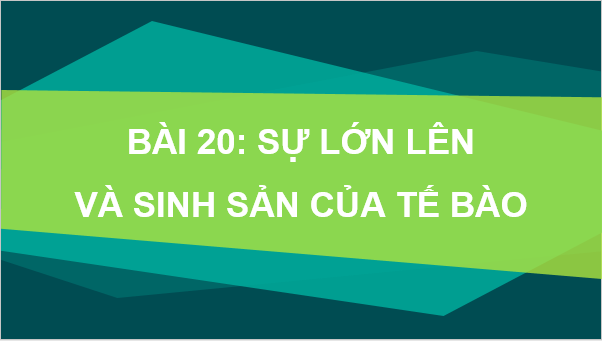 Giáo án điện tử KNTN 6 Kết nối tri thức Bài 20: Sự lớn lên và sinh sản của tế bào | PPT Khoa học tự nhiên 6