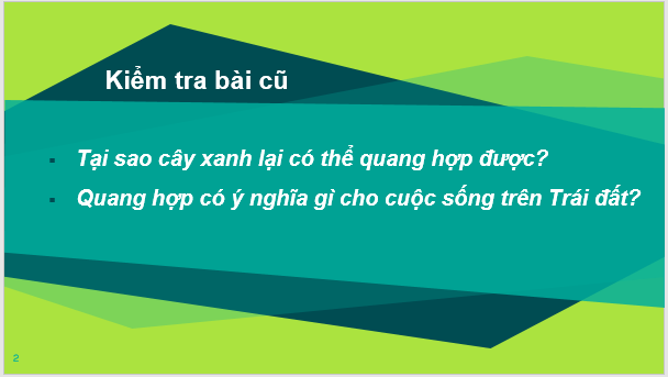 Giáo án điện tử KNTN 6 Kết nối tri thức Bài 20: Sự lớn lên và sinh sản của tế bào | PPT Khoa học tự nhiên 6