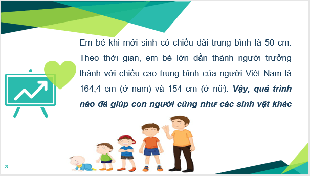 Giáo án điện tử KNTN 6 Kết nối tri thức Bài 20: Sự lớn lên và sinh sản của tế bào | PPT Khoa học tự nhiên 6