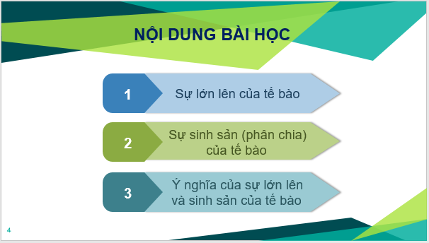 Giáo án điện tử KNTN 6 Kết nối tri thức Bài 20: Sự lớn lên và sinh sản của tế bào | PPT Khoa học tự nhiên 6