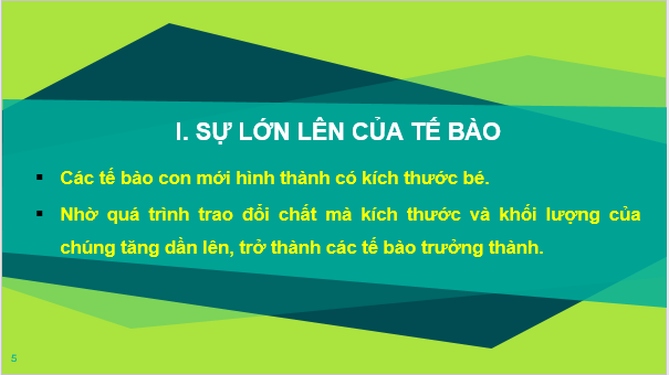 Giáo án điện tử KNTN 6 Kết nối tri thức Bài 20: Sự lớn lên và sinh sản của tế bào | PPT Khoa học tự nhiên 6