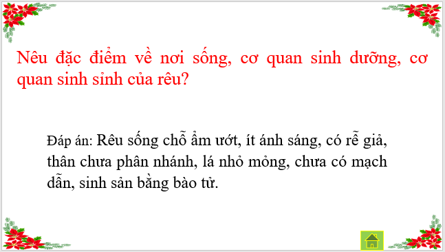 Giáo án điện tử KNTN 6 Cánh diều Bài 20: Vai trò của thực vật trong đời sống và trong tự nhiên | PPT Khoa học tự nhiên 6