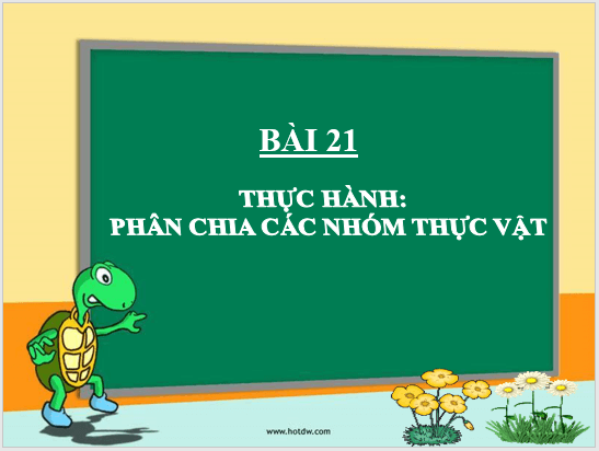 Giáo án điện tử KNTN 6 Cánh diều Bài 21: Thực hành phân chia các nhóm thực vật | PPT Khoa học tự nhiên 6