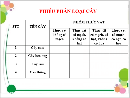 Giáo án điện tử KNTN 6 Cánh diều Bài 21: Thực hành phân chia các nhóm thực vật | PPT Khoa học tự nhiên 6