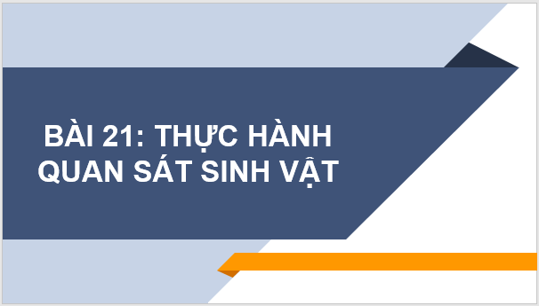 Giáo án điện tử KNTN 6 Chân trời sáng tạo Bài 21: Thực hành quan sát sinh vật | PPT Khoa học tự nhiên 6