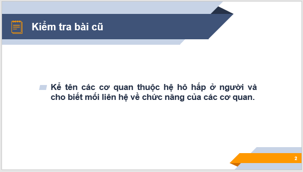 Giáo án điện tử KNTN 6 Chân trời sáng tạo Bài 21: Thực hành quan sát sinh vật | PPT Khoa học tự nhiên 6