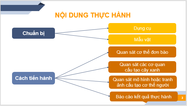 Giáo án điện tử KNTN 6 Chân trời sáng tạo Bài 21: Thực hành quan sát sinh vật | PPT Khoa học tự nhiên 6