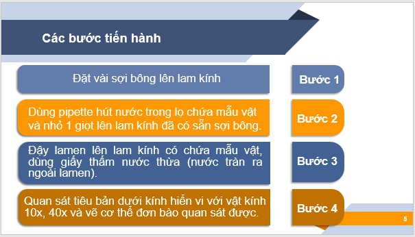 Giáo án điện tử KNTN 6 Chân trời sáng tạo Bài 21: Thực hành quan sát sinh vật | PPT Khoa học tự nhiên 6