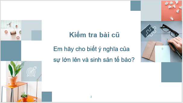 Giáo án điện tử KNTN 6 Kết nối tri thức Bài 21: Thực hành: Quan sát và phân biệt một số loại tế bào | PPT Khoa học tự nhiên 6