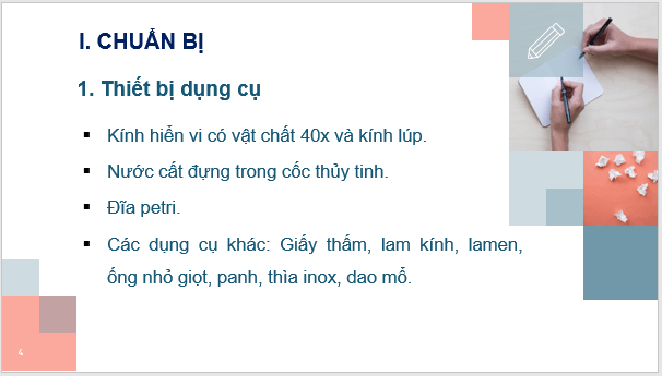 Giáo án điện tử KNTN 6 Kết nối tri thức Bài 21: Thực hành: Quan sát và phân biệt một số loại tế bào | PPT Khoa học tự nhiên 6