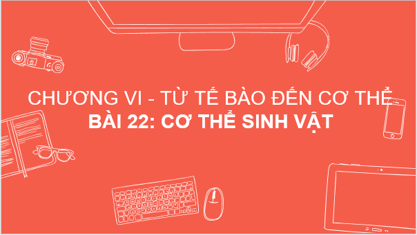 Giáo án điện tử KNTN 6 Kết nối tri thức Bài 22: Cơ thể sinh vật | PPT Khoa học tự nhiên 6