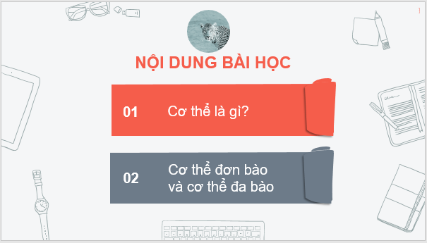 Giáo án điện tử KNTN 6 Kết nối tri thức Bài 22: Cơ thể sinh vật | PPT Khoa học tự nhiên 6