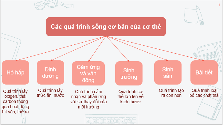 Giáo án điện tử KNTN 6 Kết nối tri thức Bài 22: Cơ thể sinh vật | PPT Khoa học tự nhiên 6