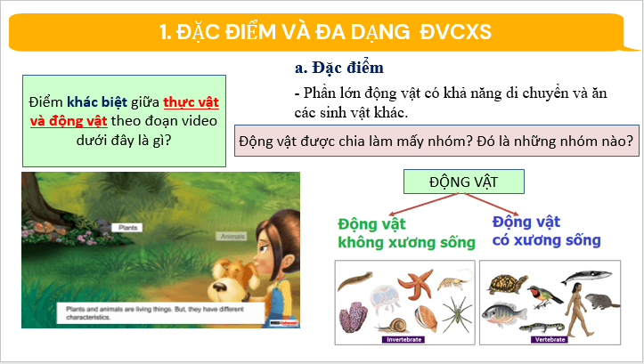 Giáo án điện tử KNTN 6 Cánh diều Bài 22: Đa dạng động vật không xương sống | PPT Khoa học tự nhiên 6