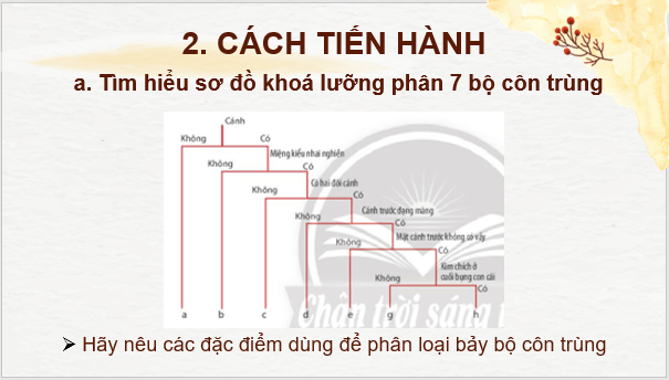 Giáo án điện tử KNTN 6 Chân trời sáng tạo Bài 23: Thực hành xây dựng khóa lưỡng phân | PPT Khoa học tự nhiên 6