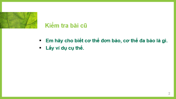 Giáo án điện tử KNTN 6 Kết nối tri thức Bài 23: Tổ chức cơ thể đa bào | PPT Khoa học tự nhiên 6