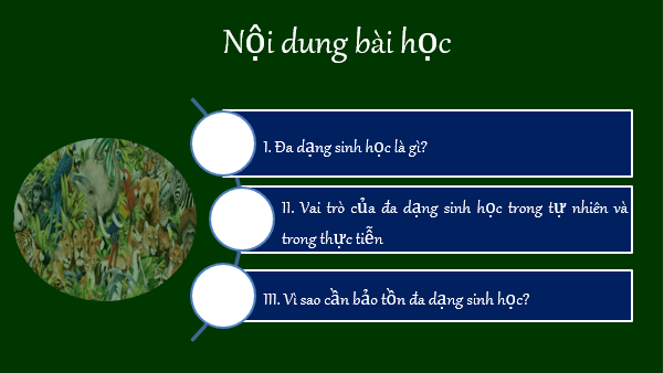 Giáo án điện tử KNTN 6 Cánh diều Bài 24: Đa dạng sinh học | PPT Khoa học tự nhiên 6