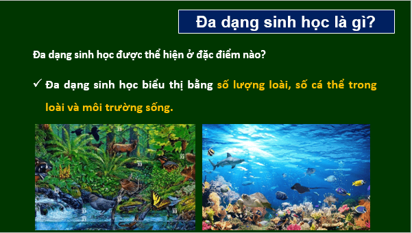 Giáo án điện tử KNTN 6 Cánh diều Bài 24: Đa dạng sinh học | PPT Khoa học tự nhiên 6