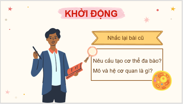 Giáo án điện tử KNTN 6 Kết nối tri thức Bài 24: Thực hành: Quan sát và mô tả cơ thể đơn bào, cơ thể đa bào | PPT Khoa học tự nhiên 6