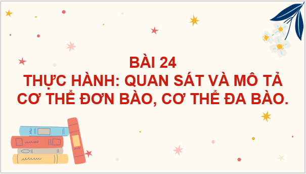 Giáo án điện tử KNTN 6 Kết nối tri thức Bài 24: Thực hành: Quan sát và mô tả cơ thể đơn bào, cơ thể đa bào | PPT Khoa học tự nhiên 6