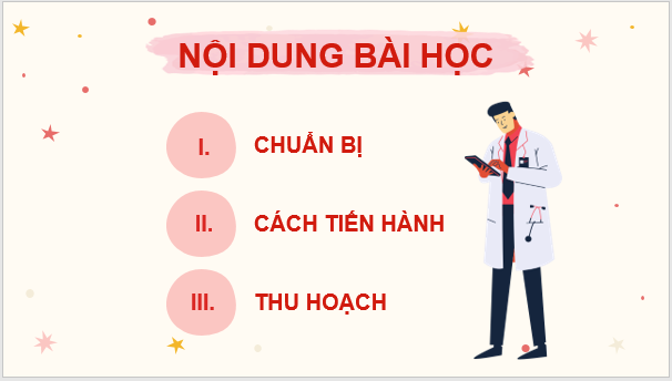 Giáo án điện tử KNTN 6 Kết nối tri thức Bài 24: Thực hành: Quan sát và mô tả cơ thể đơn bào, cơ thể đa bào | PPT Khoa học tự nhiên 6