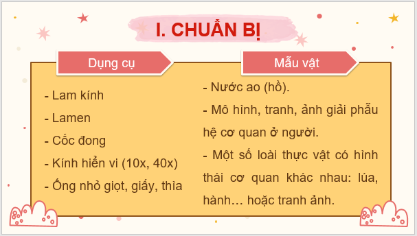 Giáo án điện tử KNTN 6 Kết nối tri thức Bài 24: Thực hành: Quan sát và mô tả cơ thể đơn bào, cơ thể đa bào | PPT Khoa học tự nhiên 6