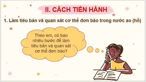 Giáo án điện tử KNTN 6 Kết nối tri thức Bài 24: Thực hành: Quan sát và mô tả cơ thể đơn bào, cơ thể đa bào | PPT Khoa học tự nhiên 6