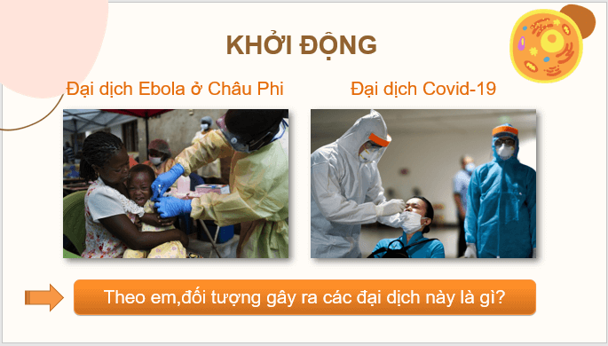 Giáo án điện tử KNTN 6 Chân trời sáng tạo Bài 24: Virus | PPT Khoa học tự nhiên 6