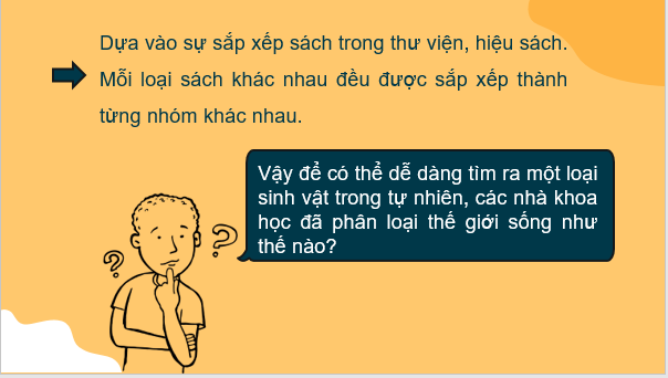 Giáo án điện tử KNTN 6 Kết nối tri thức Bài 25: Hệ thống phân loại sinh vật | PPT Khoa học tự nhiên 6