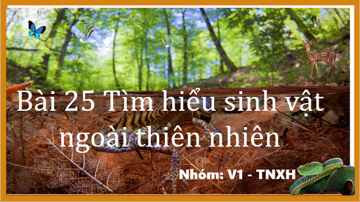 Giáo án điện tử KNTN 6 Cánh diều Bài 25: Tìm hiểu sinh vật ngoài thiên nhiên | PPT Khoa học tự nhiên 6