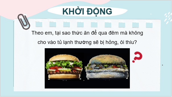 Giáo án điện tử KNTN 6 Chân trời sáng tạo Bài 25: Vi khuẩn | PPT Khoa học tự nhiên 6