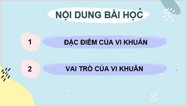 Giáo án điện tử KNTN 6 Chân trời sáng tạo Bài 25: Vi khuẩn | PPT Khoa học tự nhiên 6