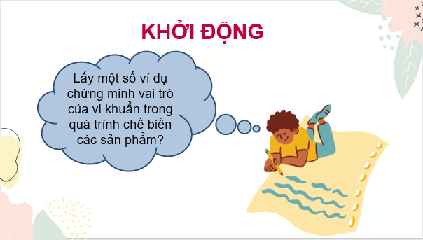 Giáo án điện tử KNTN 6 Chân trời sáng tạo Bài 26: Thực hành quan sát vi khuẩn | PPT Khoa học tự nhiên 6