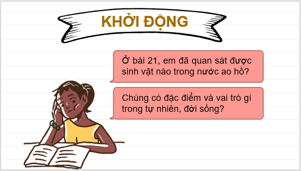 Giáo án điện tử KNTN 6 Chân trời sáng tạo Bài 27: Nguyên sinh vật | PPT Khoa học tự nhiên 6