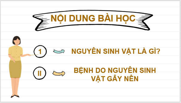 Giáo án điện tử KNTN 6 Chân trời sáng tạo Bài 27: Nguyên sinh vật | PPT Khoa học tự nhiên 6