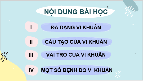 Giáo án điện tử KNTN 6 Kết nối tri thức Bài 27: Vi khuẩn | PPT Khoa học tự nhiên 6