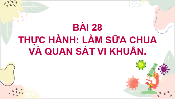 Giáo án điện tử KNTN 6 Kết nối tri thức Bài 28: Thực hành: Làm sữa chua và quan sát vi khuẩn | PPT Khoa học tự nhiên 6