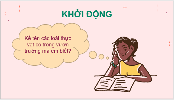 Giáo án điện tử KNTN 6 Chân trời sáng tạo Bài 29: Thực vật | PPT Khoa học tự nhiên 6