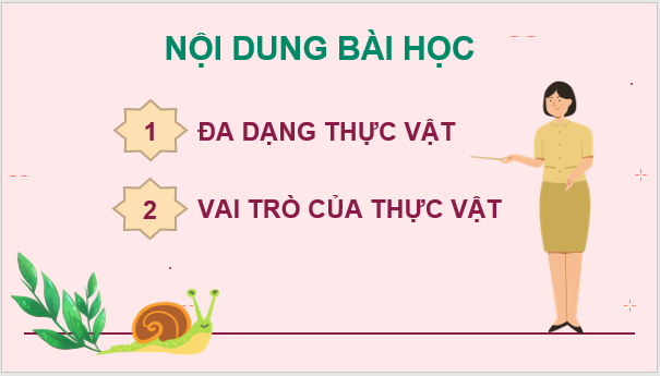 Giáo án điện tử KNTN 6 Chân trời sáng tạo Bài 29: Thực vật | PPT Khoa học tự nhiên 6